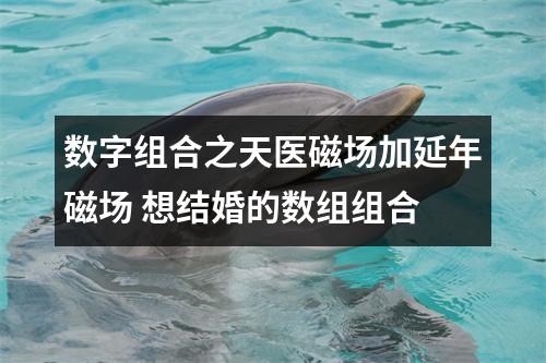 数字组合之天医磁场加延年磁场 想结婚的数组组合