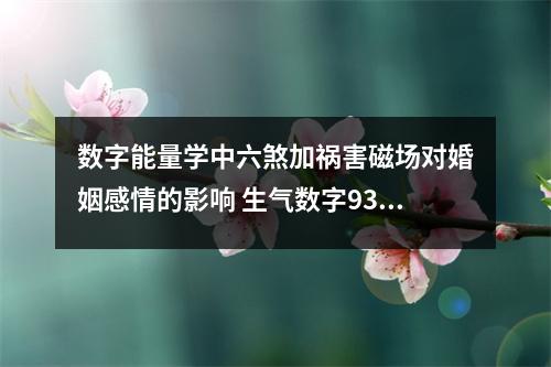 数字能量学中六煞加祸害磁场对婚姻感情的影响 生气数字9328有哪些工作特质呢