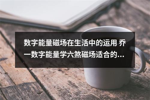 数字能量磁场在生活中的运用 乔一数字能量学六煞磁场适合的行业特性