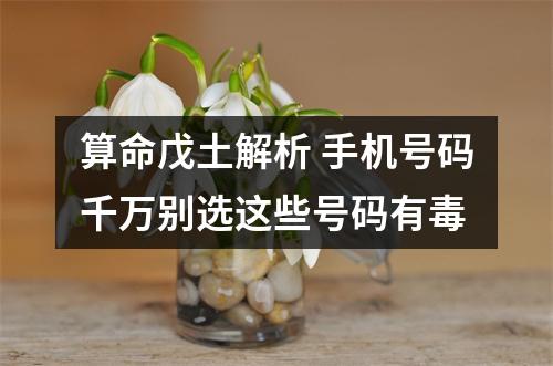 算命戊土解析 手机号码千万别选这些号码有毒