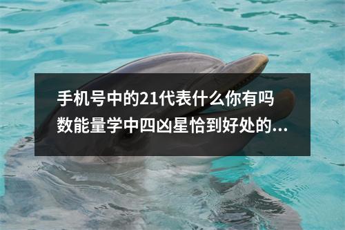 手机号中的21代表什么你有吗 数能量学中四凶星恰到好处的用法4