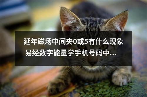 延年磁场中间夹0或5有什么现象 易经数字能量学手机号码中5代表什么