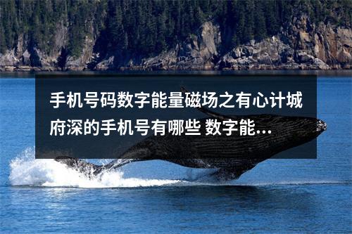 手机号码数字能量磁场之有心计城府深的手机号有哪些 数字能量学手机号码之从号码分析孩子的学习状况