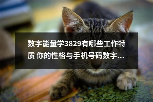 数字能量学3829有哪些工作特质 你的性格与手机号码数字关系亲密你知道吗