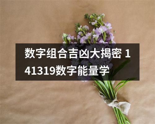 数字组合吉凶大揭密 141319数字能量学
