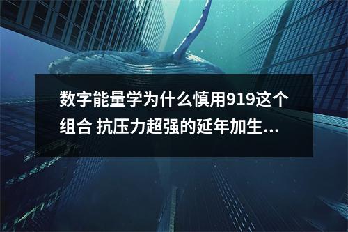 数字能量学为什么慎用919这个组合 抗压力超强的延年加生气组合快看看你的手机号码有么