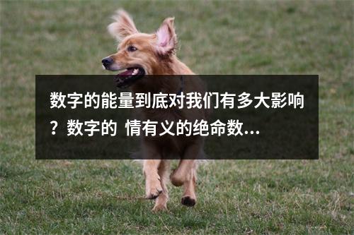 数字的能量到底对我们有多大影响？数字的  情有义的绝命数字能量磁场简析绝