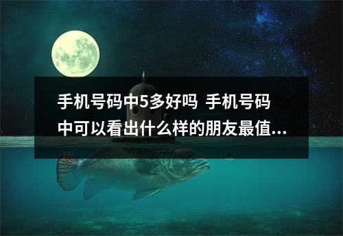 手机号码中5多好吗  手机号码中可以看出什么样的朋友最值得交往？