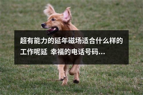 超有能力的延年磁场适合什么样的工作呢延  幸福的电话号码是多少