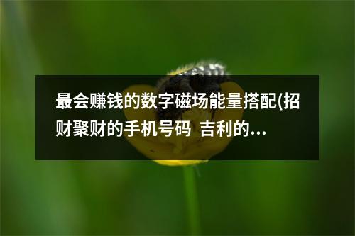 最会赚钱的数字磁场能量搭配(招财聚财的手机号码  吉利的车牌数字？