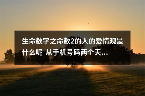 生命数字之命数2的人的爱情观是什么呢  从手机号码两个天医，看它们的辩证关系？