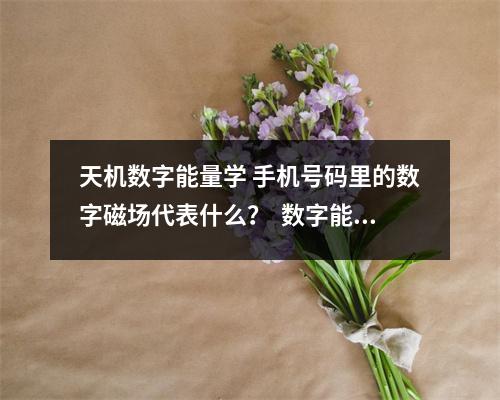 天机数字能量学 手机号码里的数字磁场代表什么？  数字能量学组合数字448 在职场中你属于哪种