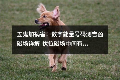 五鬼加祸害：数字能量号码测吉凶磁场详解  伏位磁场中间有0的解析