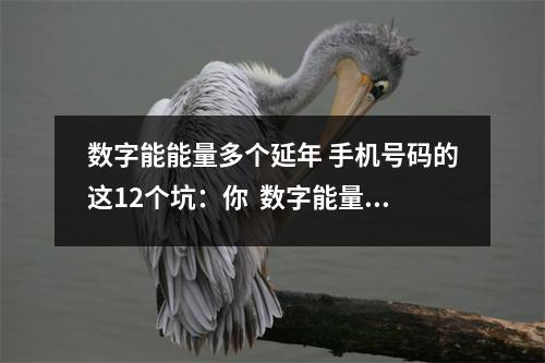 数字能能量多个延年 手机号码的这12个坑：你  数字能量199结尾  为什么手机号码对一个人钱