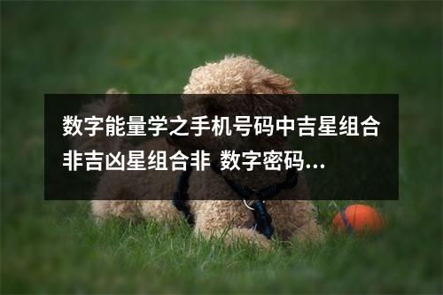 数字能量学之手机号码中吉星组合非吉凶星组合非  数字密码9能量颜色 数字能量学如何从号码中看一